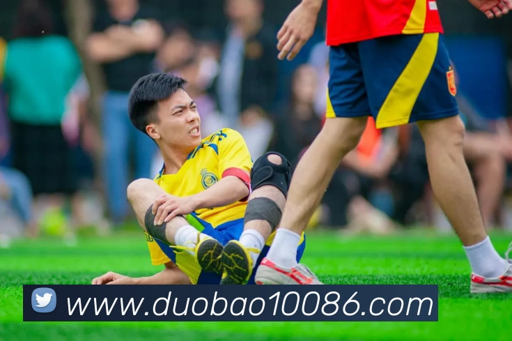 多宝体育平台生态图